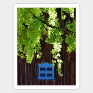 Blue Shutters Magnet